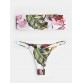 Women Tropical Print Bandeau Bikini Thong Backless Swimsuit